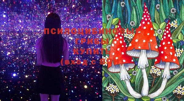 гашиш Пролетарск