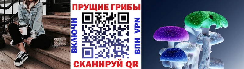Псилоцибиновые грибы Psilocybine cubensis закладки Нытва